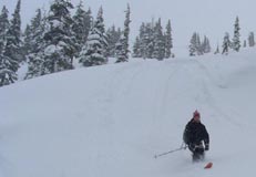 Skitouring Sporatt Whistler